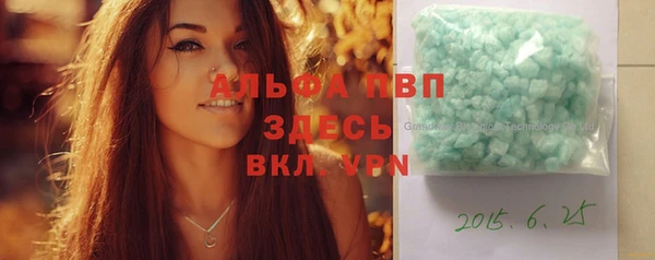 мет Алексин