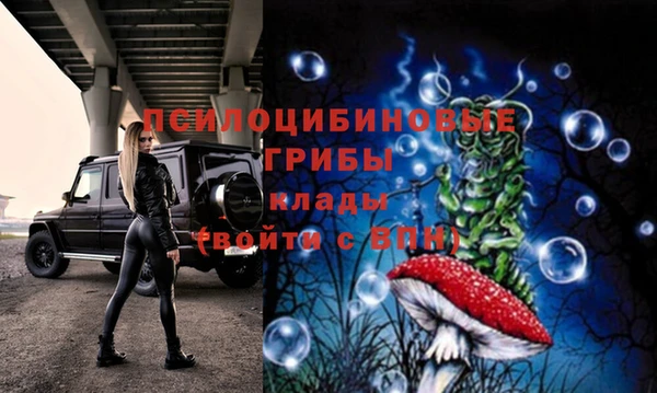 индика Алексеевка