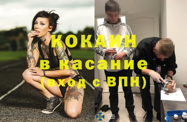 мет Алексин