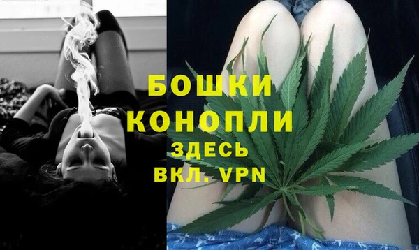 индика Алексеевка